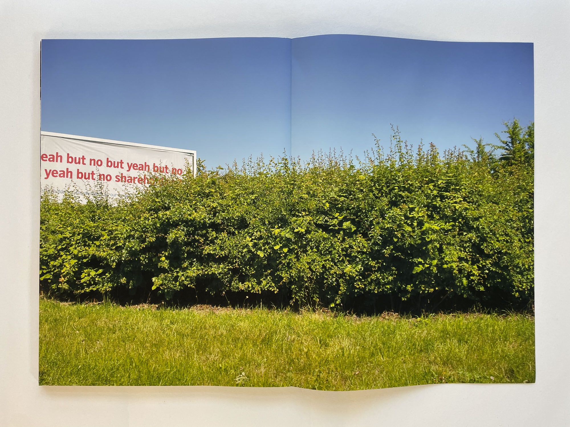 a green hedge and grass, a blue sky and part of a billboard that says yeah but no but yeah but no in large red letters