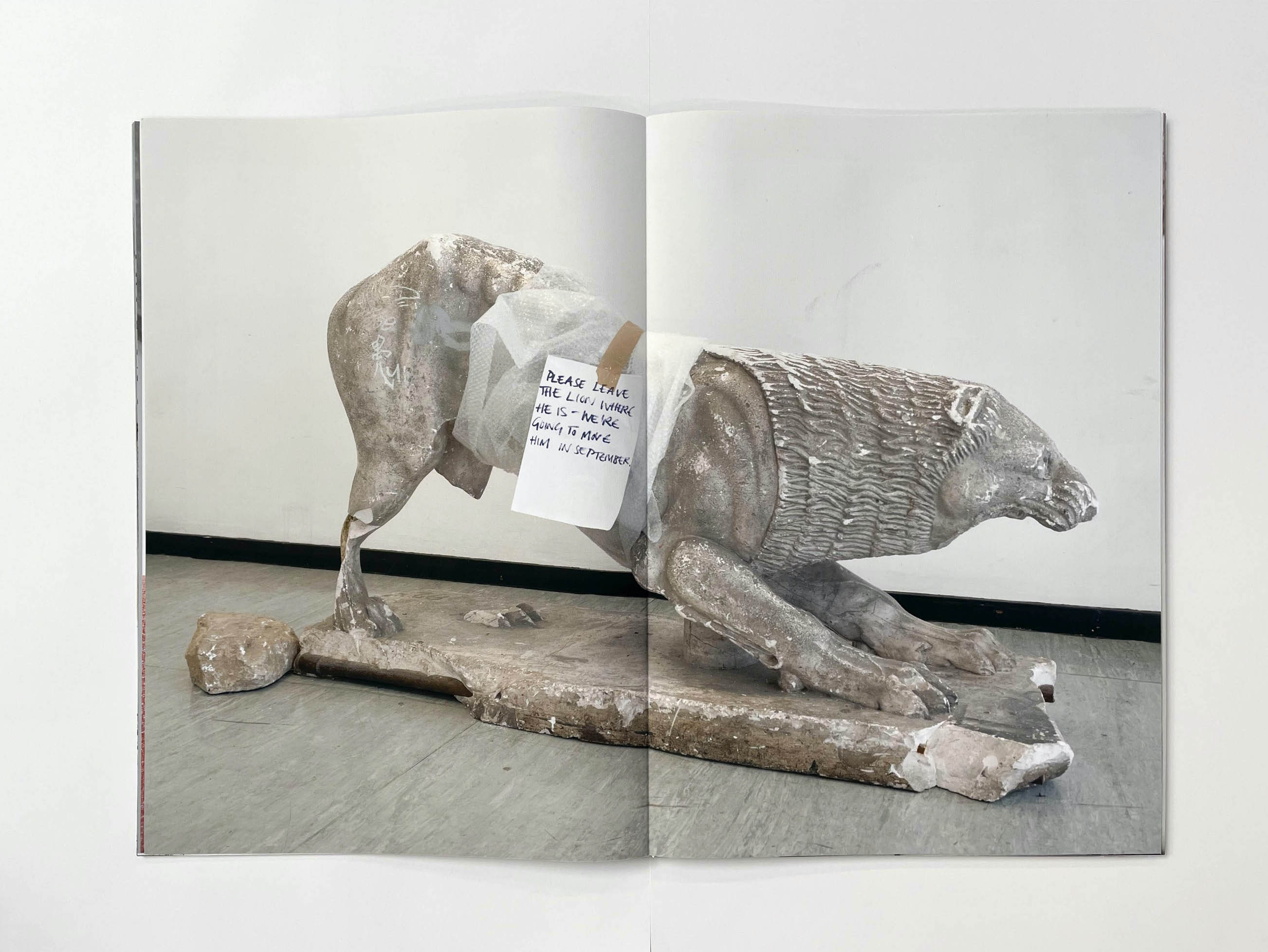 a plaster cast statue of a large old lion crouches on a floor, a note pinned to its back says Please leave the lion where he is - we are going to move him in September