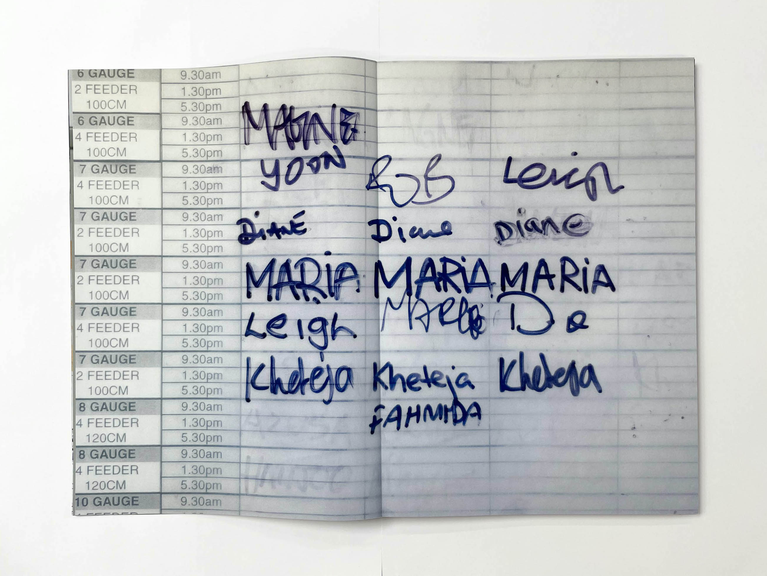 a printed schedule lays out specified times, in the grid names are written in black felt tip pen - Yoon, Bob, Diane and Khaleja