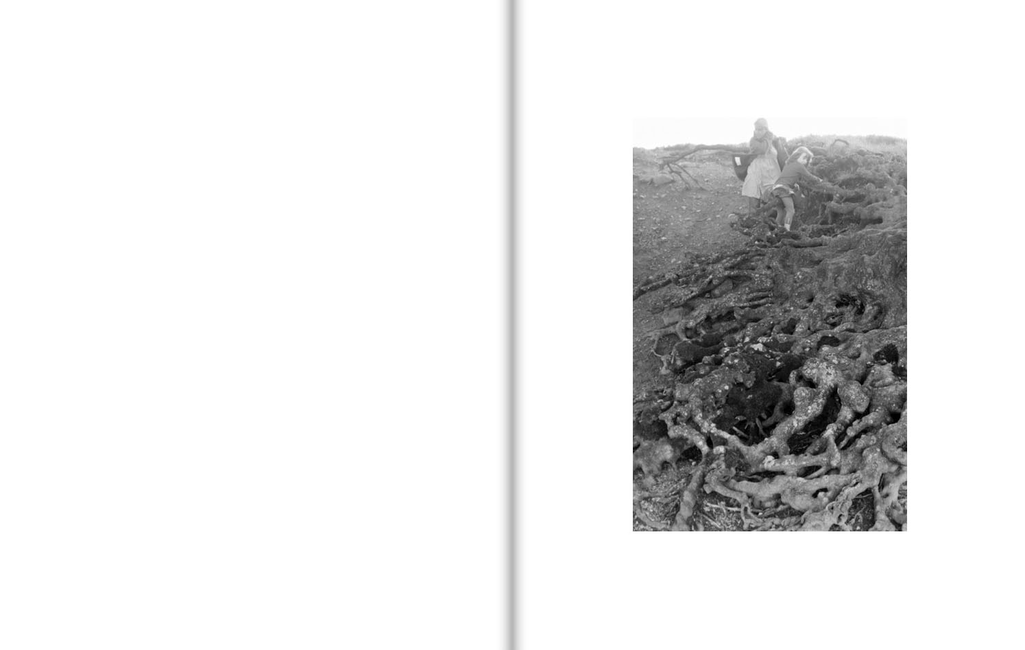 A mother and her young daughter climb down a steep slope holding onto gnarled tree roots.