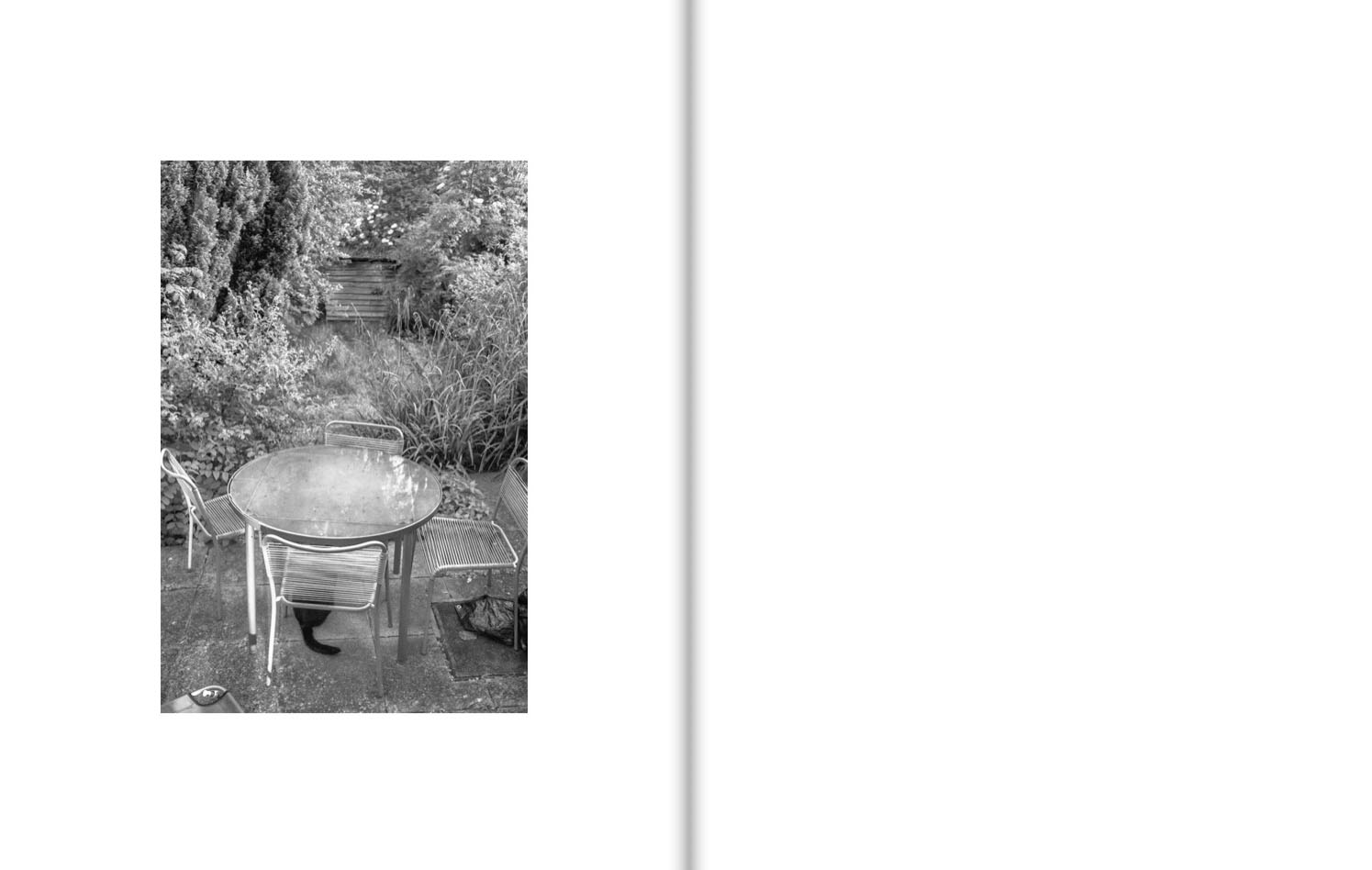 A cat’s tail and haunches are seen beneath a table and chairs on a patio in a lush garden.