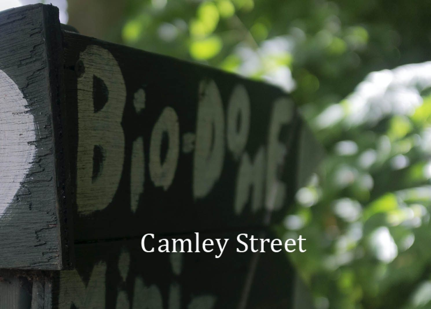 a close-up of a hand-painted signpost with the words Bio-Dome overlaid with the book title Camley Street