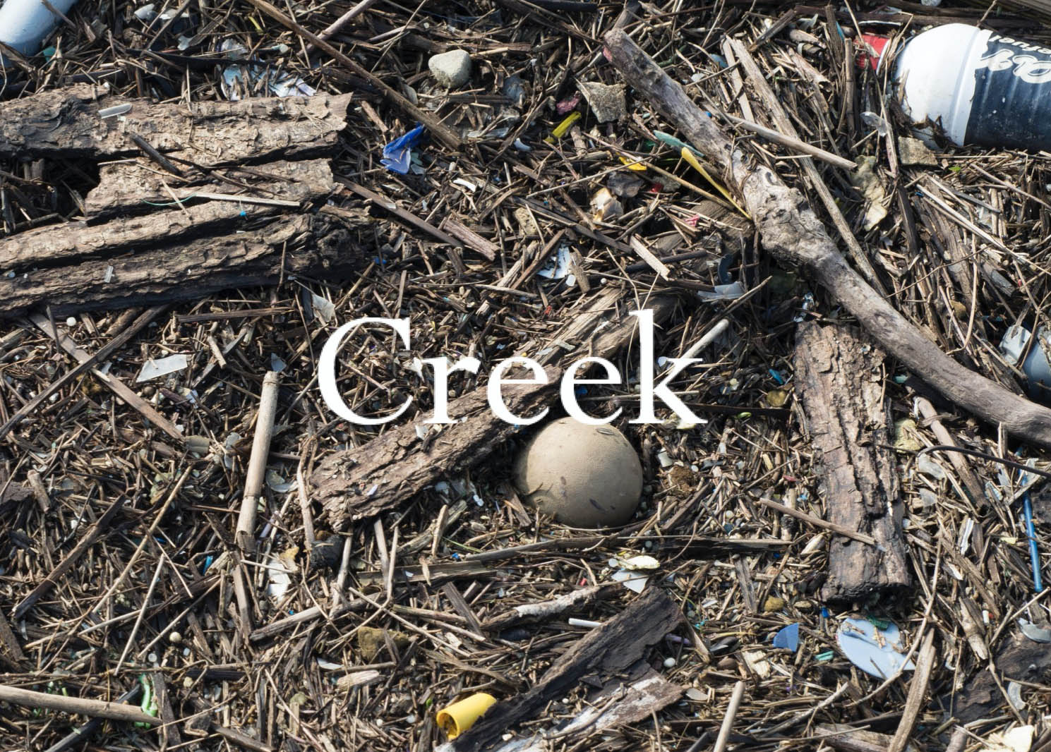 The cover shows the title of the book against a background of river-borne detritus