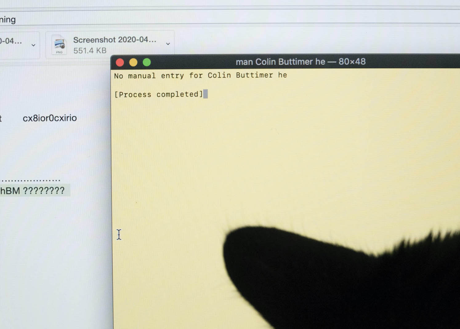 A cat's ear silhouetted against a computer screen'