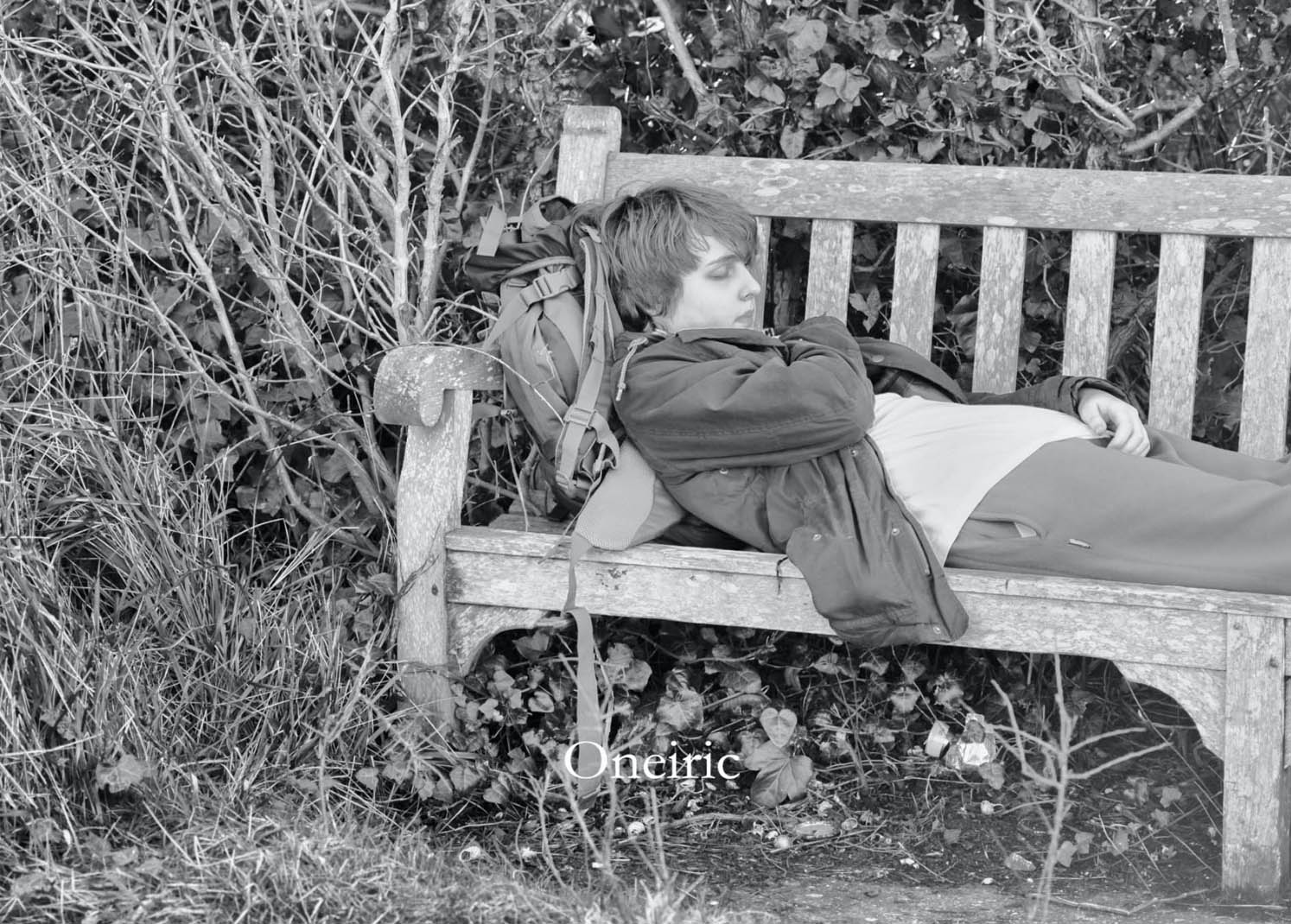 A boy lies on a bench seemingly asleep, to his left is a dense thicket of branches
