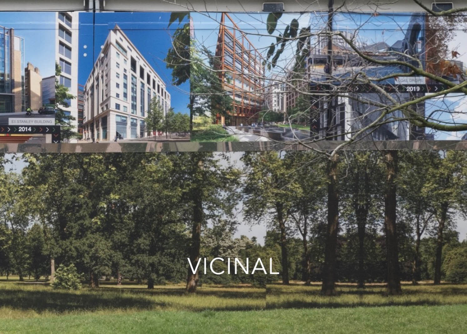 Book cover showing an image of a hoarding of trees and buildings with the title Vicinal overlaid